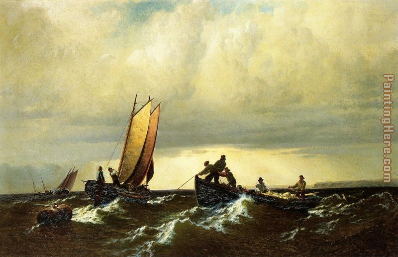 Fishing Boats on the Bay of Fundy i painting - William Bradford Fishing Boats on the Bay of Fundy i art painting